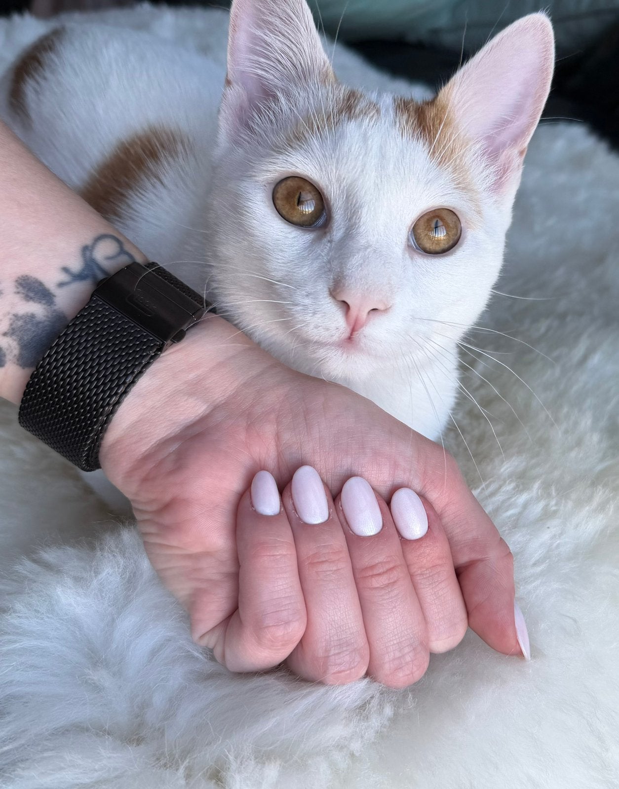 Nagelstyliste BIAB en Gellak Waalwijk, Ophalen, Nieuw, Overige typen