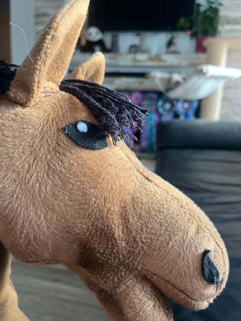 Hobbyhorse, Ophalen of Verzenden, Babypop
