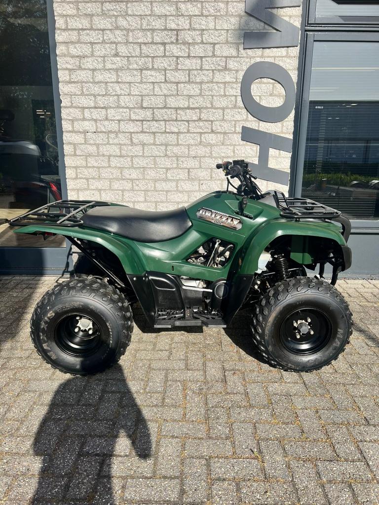 Yamaha grizzly 300 hele nette, Motoren, 300 cc, 11 kW of minder, 1 cilinder