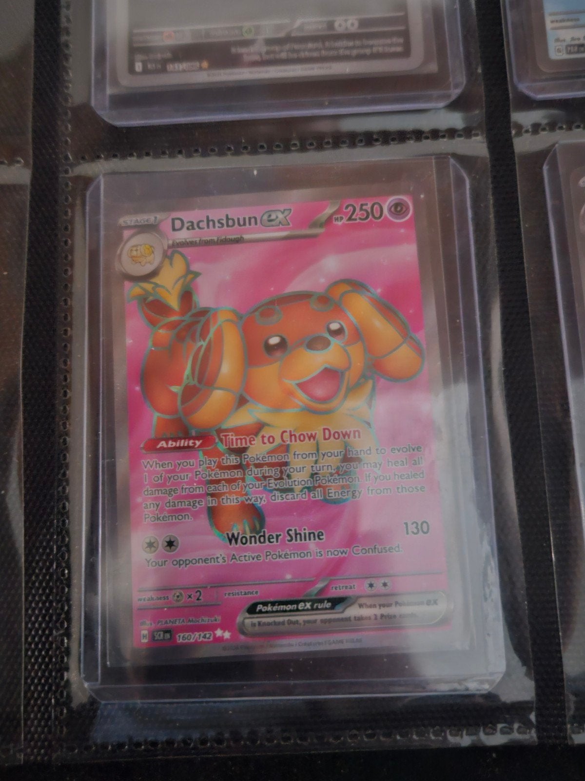 Pokemon Dachsbun ex 160/142 Stellar Crown, Ophalen of Verzenden, Zo goed als nieuw, Losse kaart, Foil