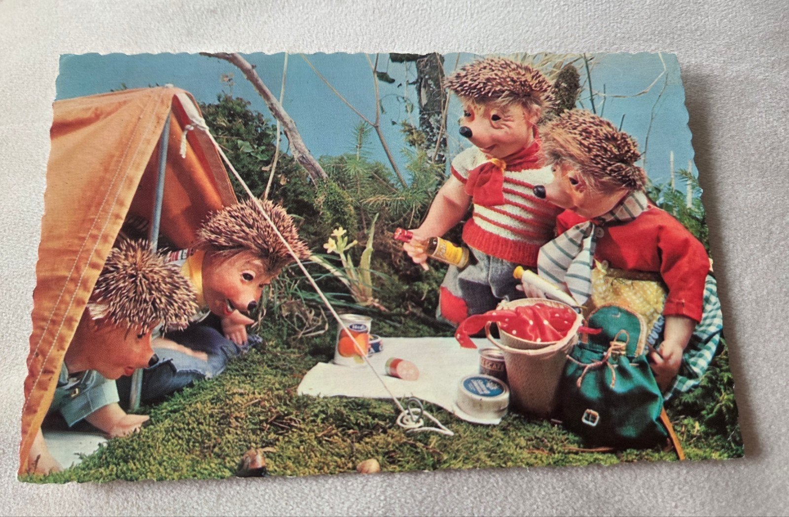 Vintage Egel Ansichtkaart - Kamperen in het Bos, Verzenden, 1960 tot 1980, Gelopen, Kinderen
