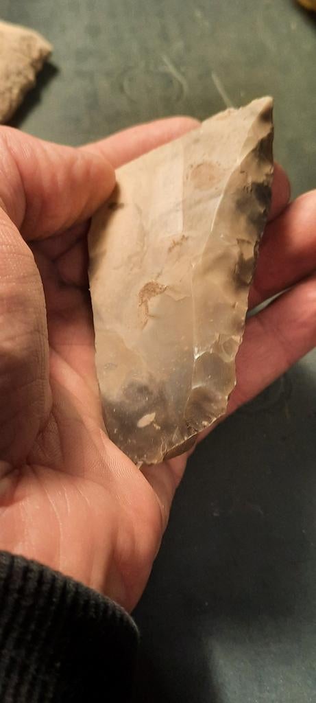 Hakbijl prehistorie, Ophalen of Verzenden