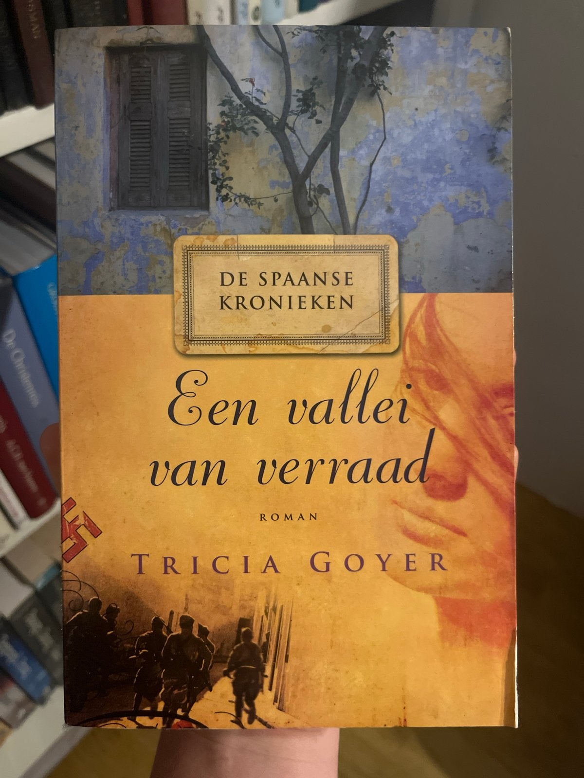 De Spaanse Kronieken: Een vallei van verraad - Tricia Goyer, Boeken, Romans, Ophalen of Verzenden, Gelezen, Wereld overig