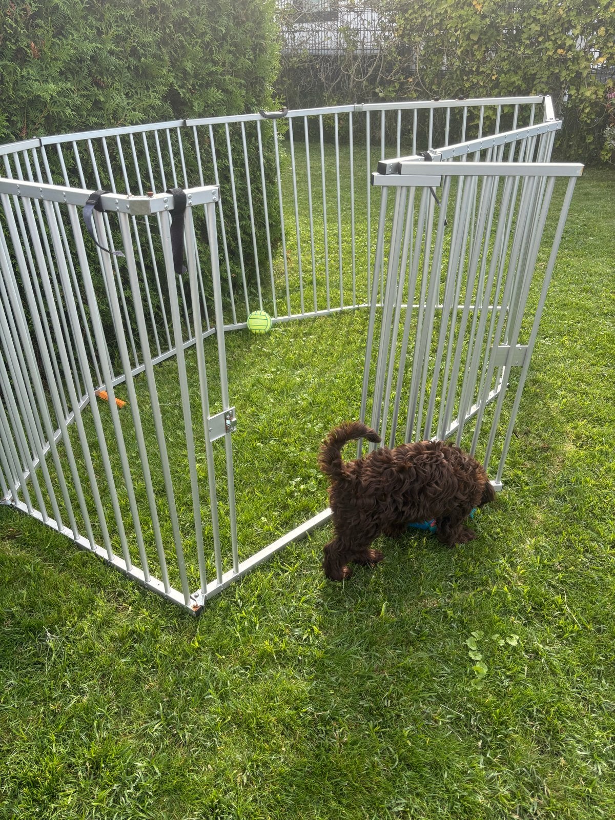 Honden Ren. En honden bench, Ophalen, Gebruikt