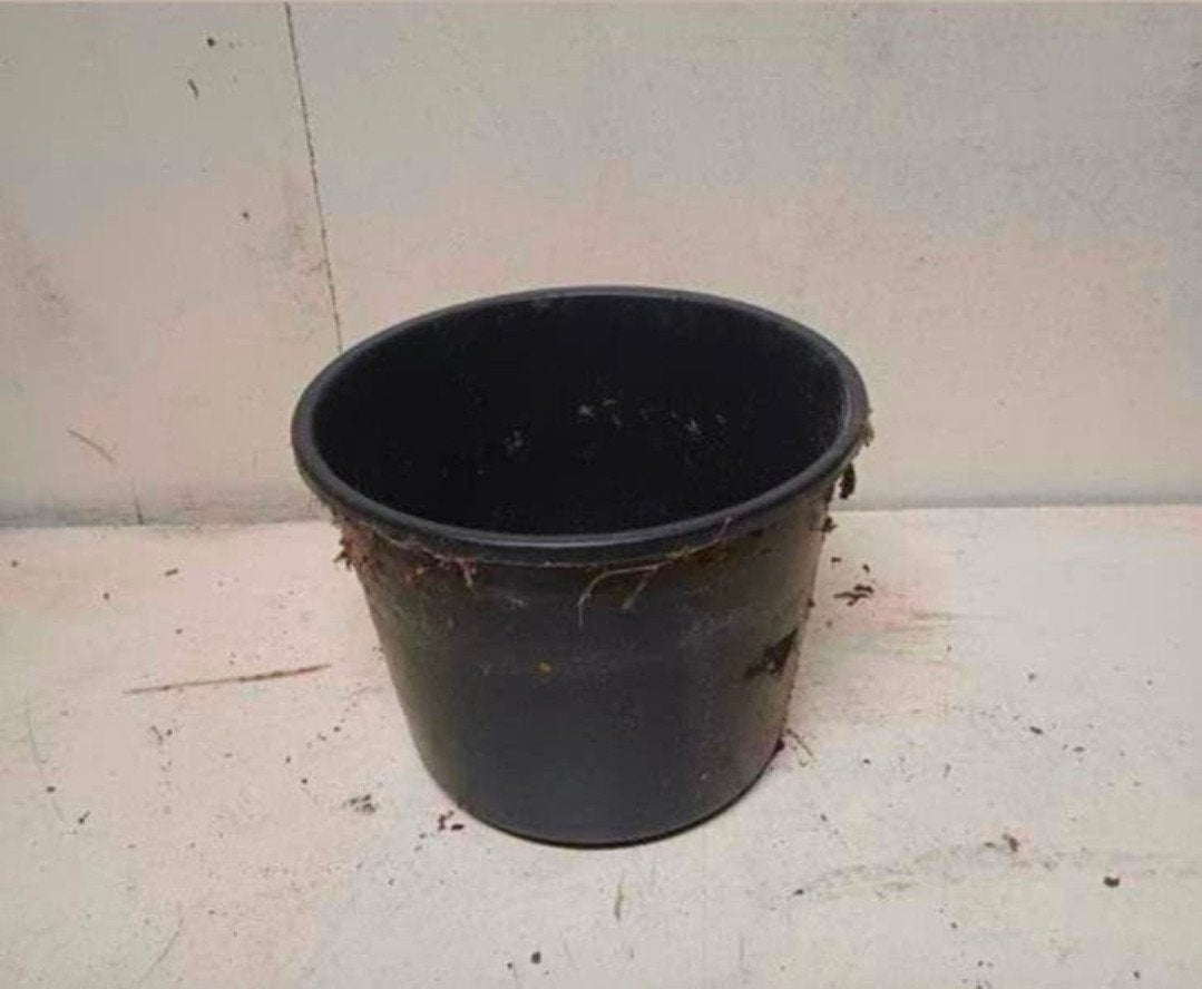 Kweekpotten plantenpotten bloempotten 5 liter, Kunststof, Gebruikt, Rond, Ophalen of Verzenden