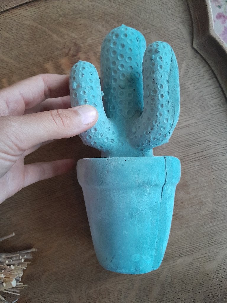 Cactus van steen, Ophalen of Verzenden, Zo goed als nieuw, Dier