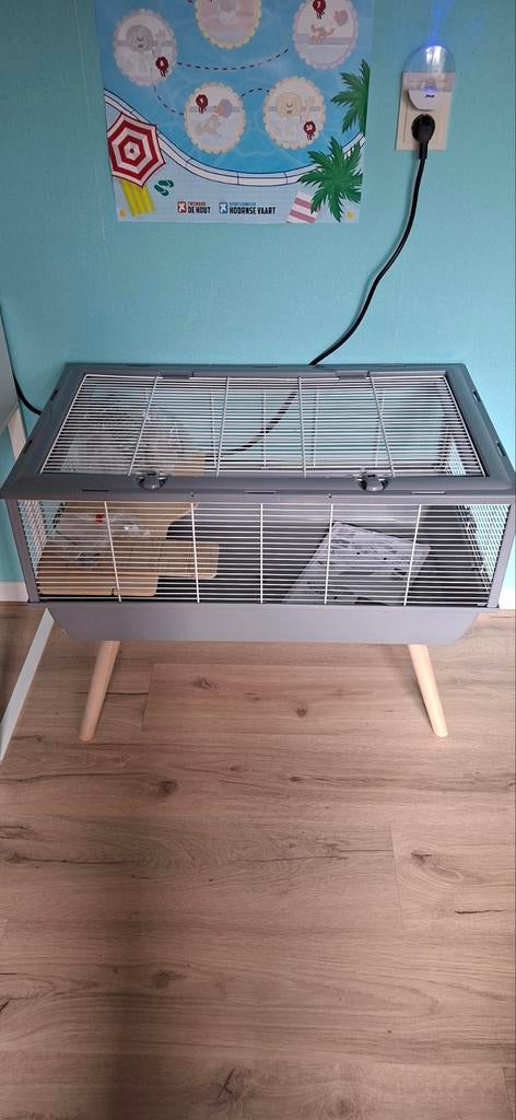 Hamster kooi, Dieren en Toebehoren, Knaagdieren en Konijnen | Hokken en Kooien, Kooi, Minder dan 75 cm, Hamster, Ophalen