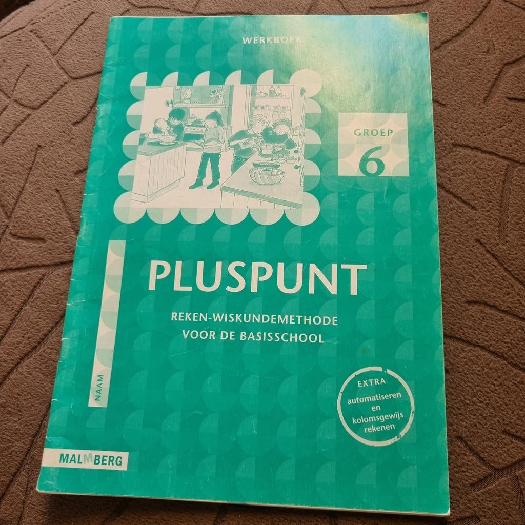 Groep 6 Pluspunt Werkboek - Rekenen -Wiskundemethode, Ophalen of Verzenden, Gelezen
