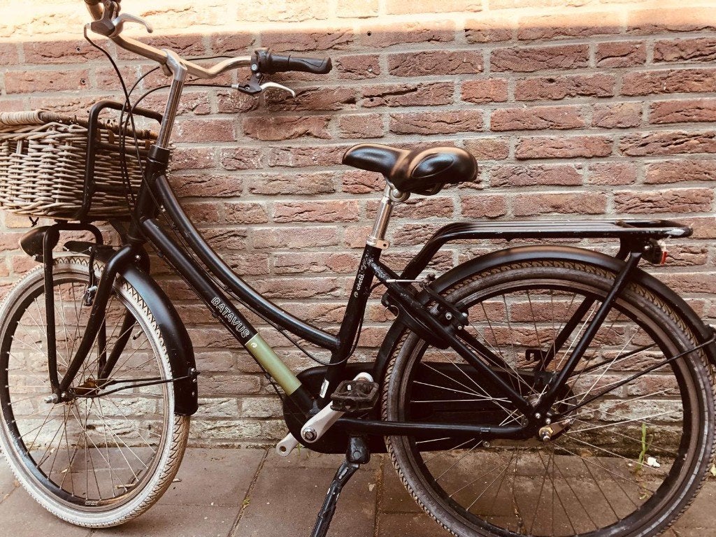 Batavus meisjesfiets 24 inch, Ophalen, Terugtraprem, Versnellingen, Batavus®