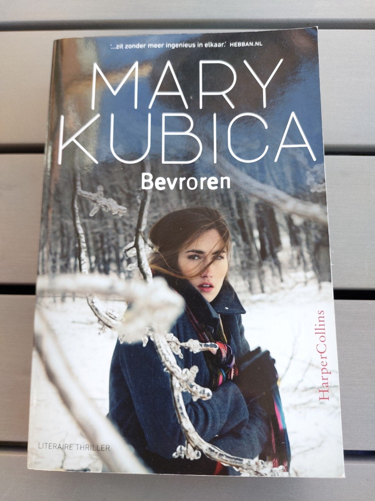Thriller Bevroren van Mary Kubica, Boeken, Ophalen of Verzenden