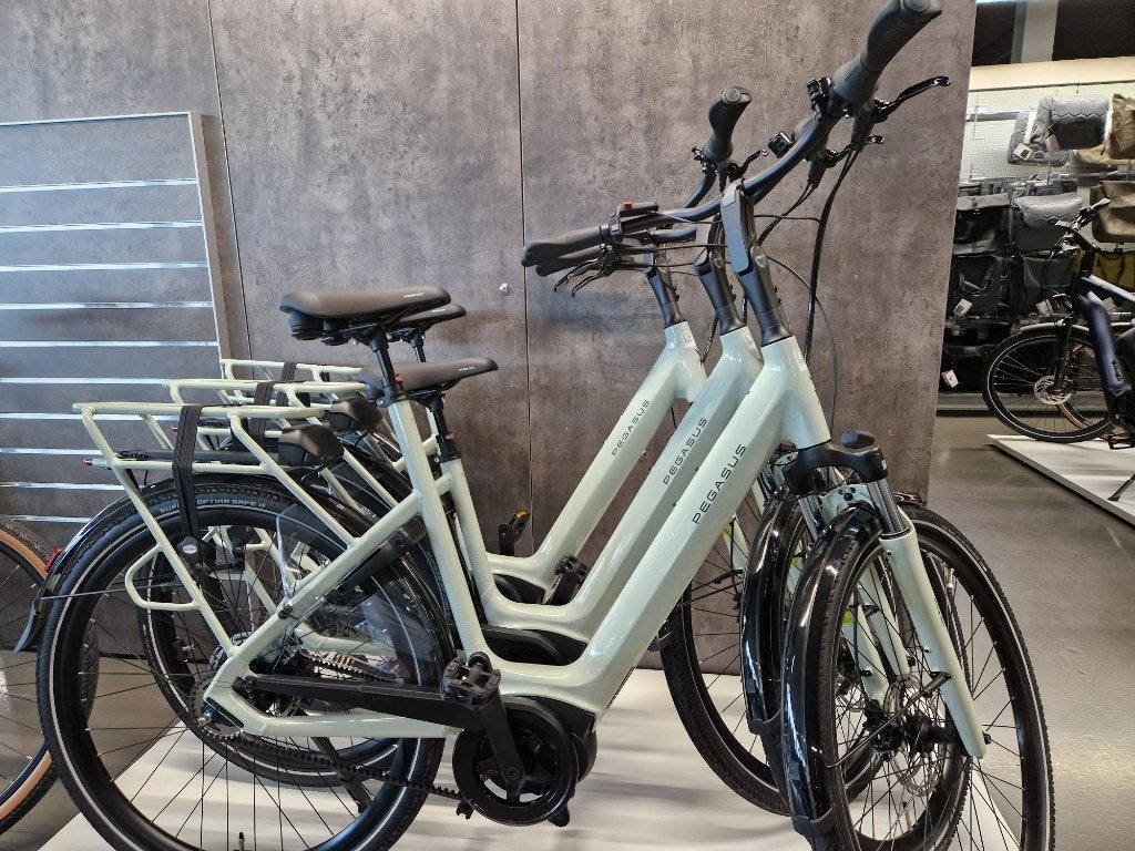 Pegasus Siena E5F Belt, 500 Wh nu €2299,-, Overige merken, Nieuw, Ophalen of Verzenden, 51 tot 55 cm