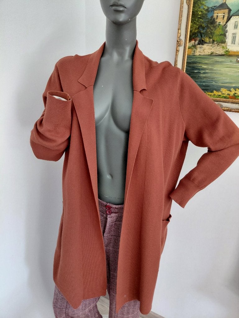 Xandres prachtige vest large, Ophalen of Verzenden, Zo goed als nieuw, Maat 42/44 (L)