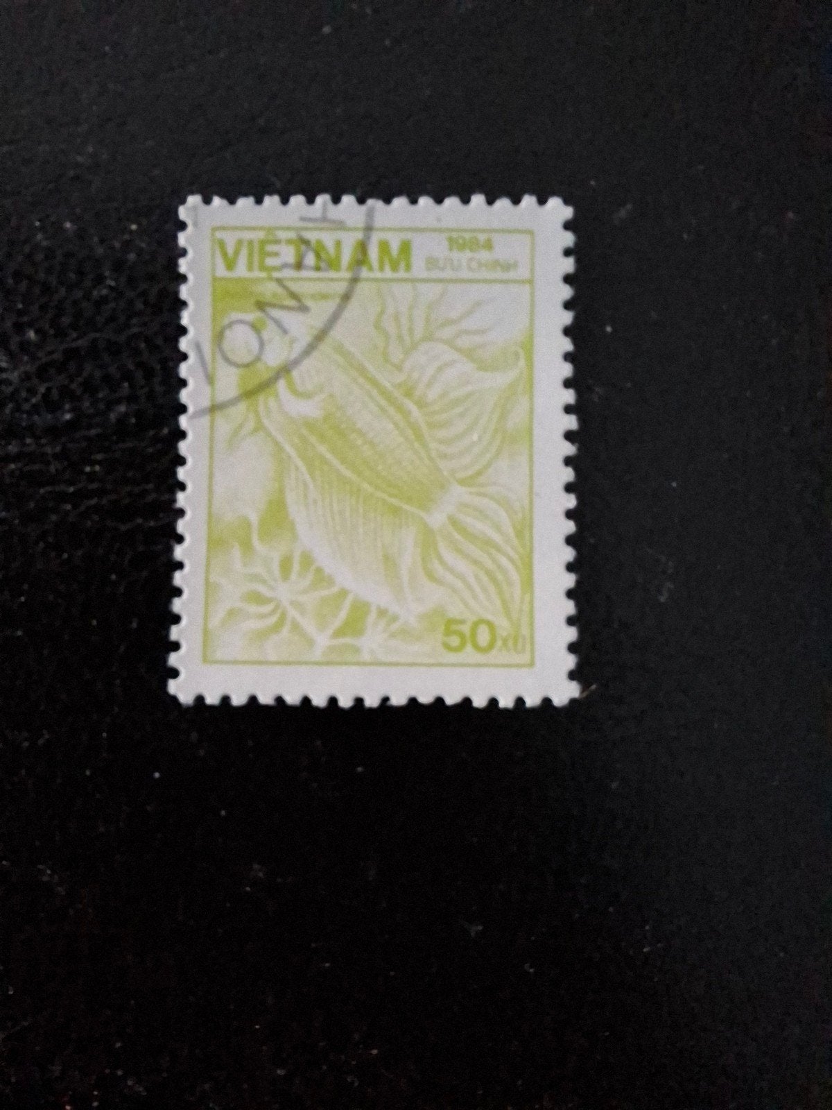 Vietnam. Kempvis., Ophalen of Verzenden, Dier of Natuur