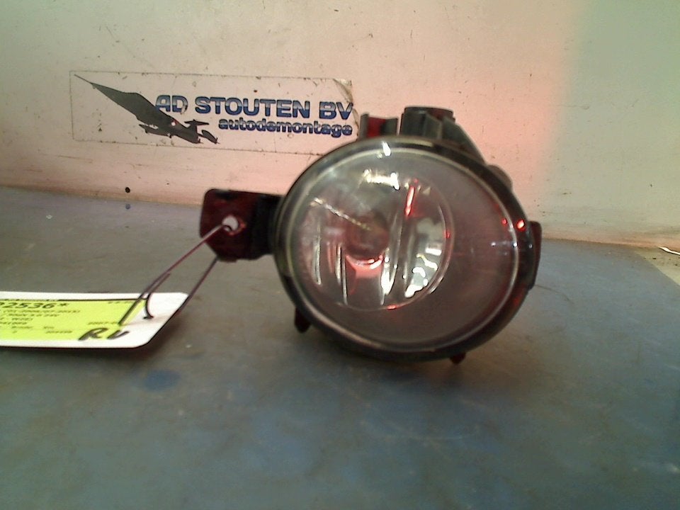 Mistlamp Rechts Voor BMW X5 (E70) (2006-12/2008-09) 89206142, Gebruikt, Petuelring 130, München 80809, , Duitsland, BMW, Bayerische Motoren Werke AG