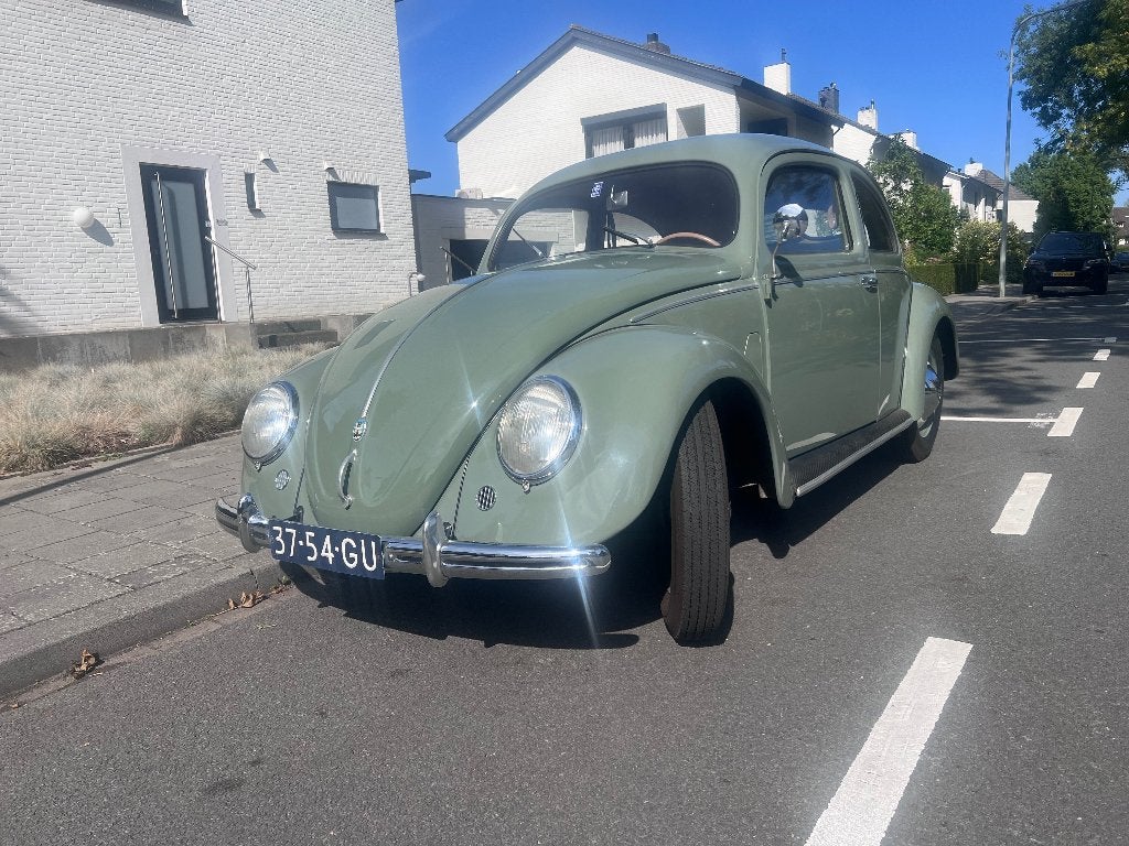 Oldtimer - Volkswagen "Brilkever" -1951-in uitmuntende staat, foto 1