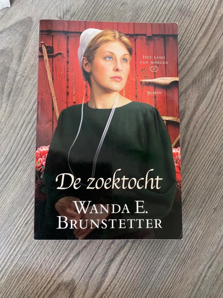 Wanda E. Brunstetter - De zoektocht, Ophalen of Verzenden, Zo goed als nieuw, Wanda E. Brunstetter