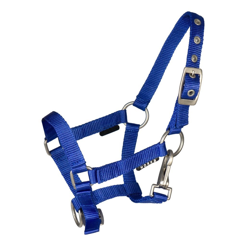 Veulenhalster Blauw met clip maat mini, shetty of pony, Overige disciplines, ., Nieuw, Blauw