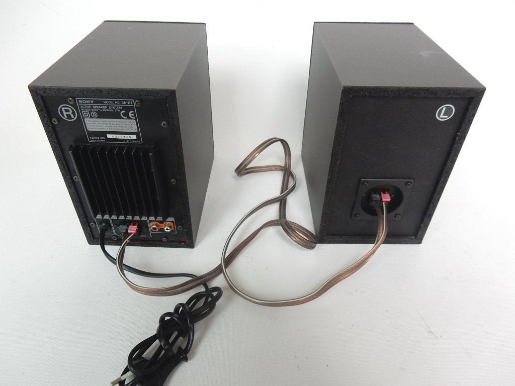 Sony SA-N1 ACTIEF  luidsprekersysteem in prima staat, Audio, Tv en Foto, Stereo speakers, Gebruikt, Inclusief kabels, Ophalen of Verzenden