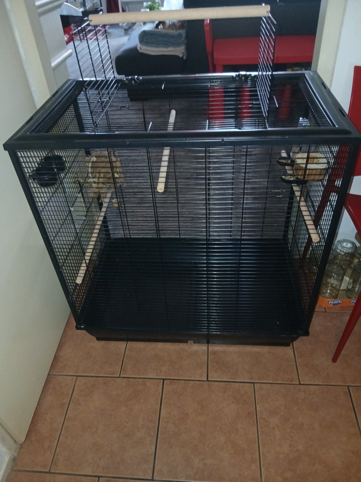 grote vogelkooi voor kleine papagaai soorten, Dieren en Toebehoren, Ophalen, Zo goed als nieuw, Metaal, Vogelkooi