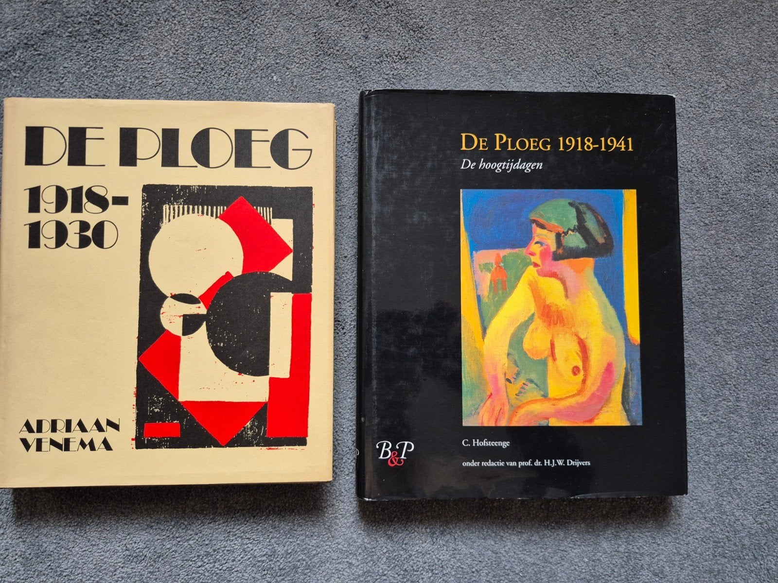 De Ploeg: 1918-1930 & De hoogtijdagen 1918-1941 (2 boeken), Boeken, Ophalen of Verzenden, Zo goed als nieuw, Schilder- en Tekenkunst