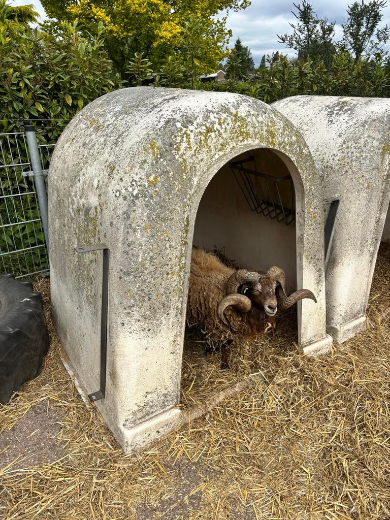 2 grote iglo’s te koop, Dieren en Toebehoren, Stalling en Weidegang, Stalling