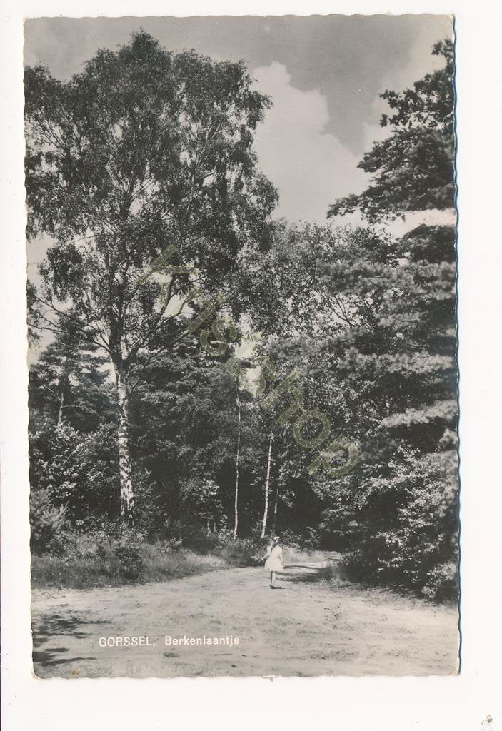 Gorssel - Berkenlaantje [003-6577, Verzenden, 1940 tot 1960, Gelopen, Gelderland
