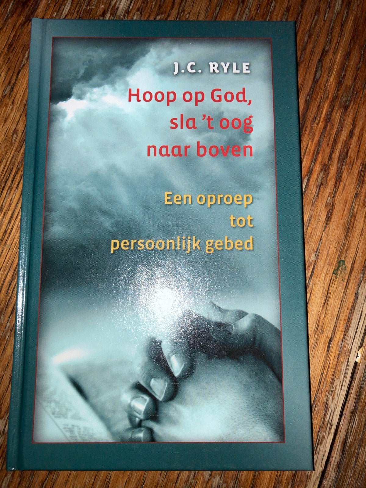 Hoop op God, sla 't oog naar boven - J.C. Ryle, Ophalen of Verzenden, Zo goed als nieuw, Christendom | Protestants