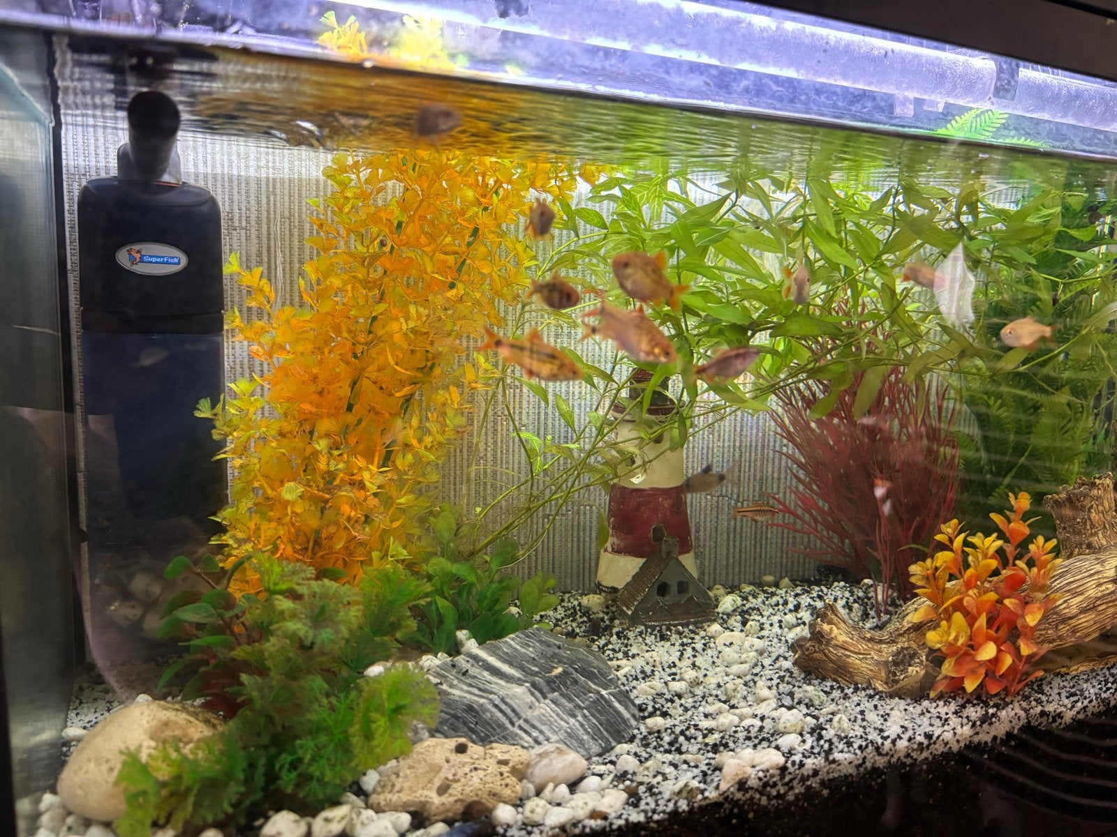 Auquarium 90 incl meubel en toebehoren, Juwel, Inclusief vissen, Ophalen of Verzenden, Gevuld zoetwateraquarium