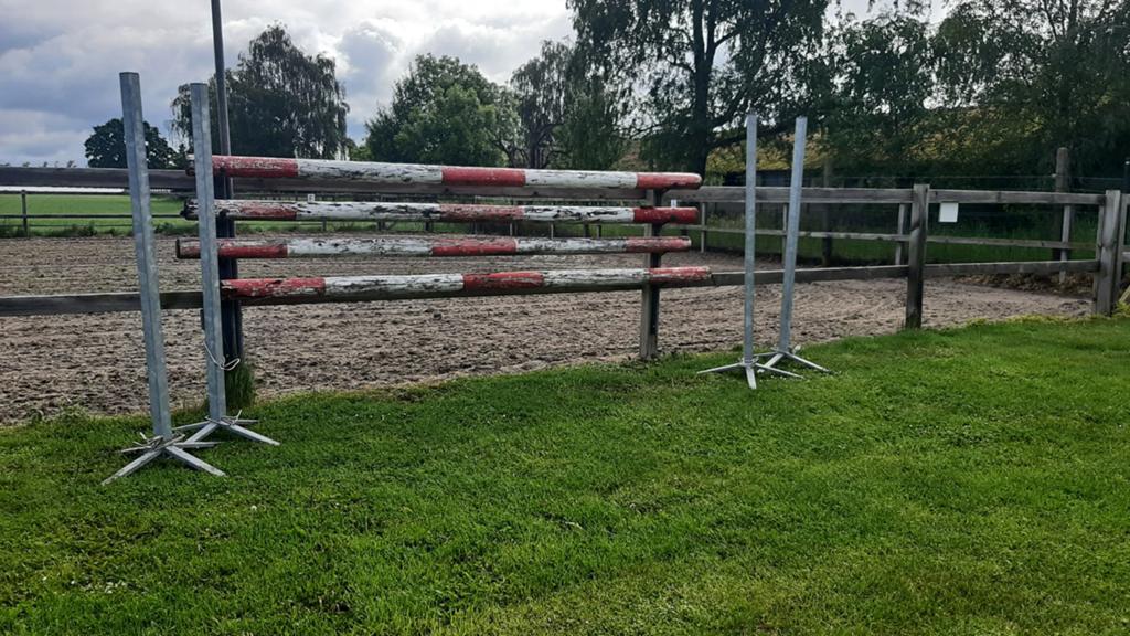 Hindernis / springbalken, Dieren en Toebehoren, Ophalen, Springen