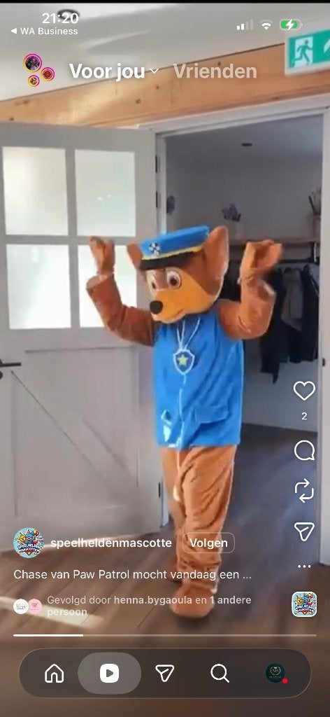 Paw patrol mascotte, Ophalen of Verzenden, Nieuw, Verjaardag