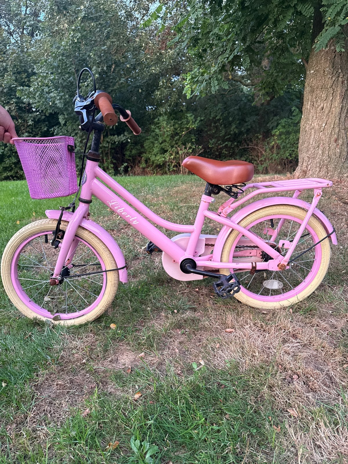 Roze kinderfiets Liberty met mandje en bagagedrager, Ophalen of Verzenden, Gebruikt, Terugtraprem, 16 tot 20 inch