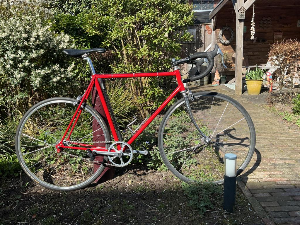 Rode racefiets- Klassiek model, freewheel, Gebruikt, Staal, 53 tot 57 cm, Ophalen