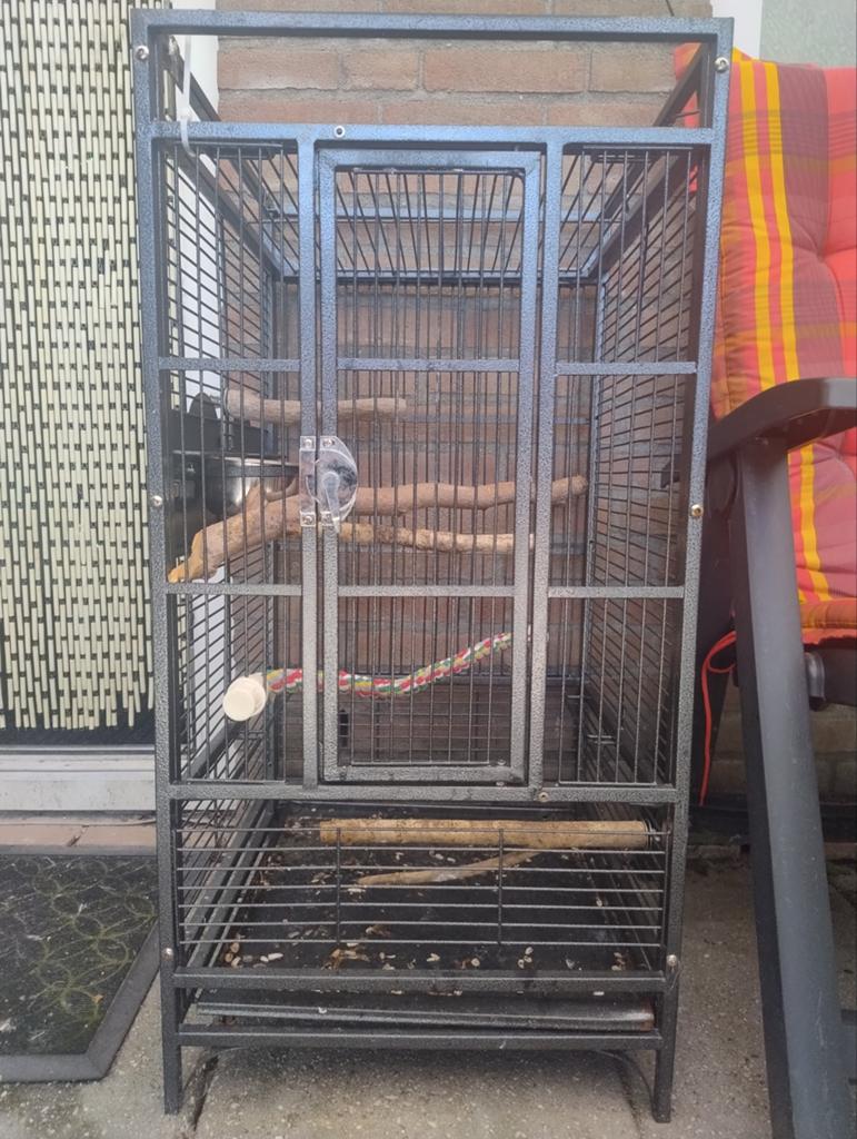 Vogelkooi, Ophalen of Verzenden, Zo goed als nieuw, Metaal, Vogelkooi