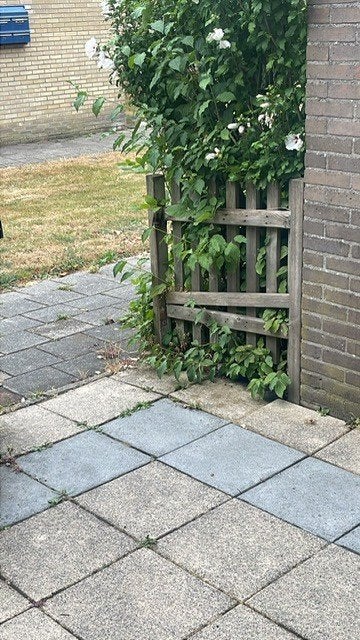 GRATIS tuintegels – deze week op te halen in Zaandam!, Ophalen, Gebruikt, 10 m² of meer, Beton