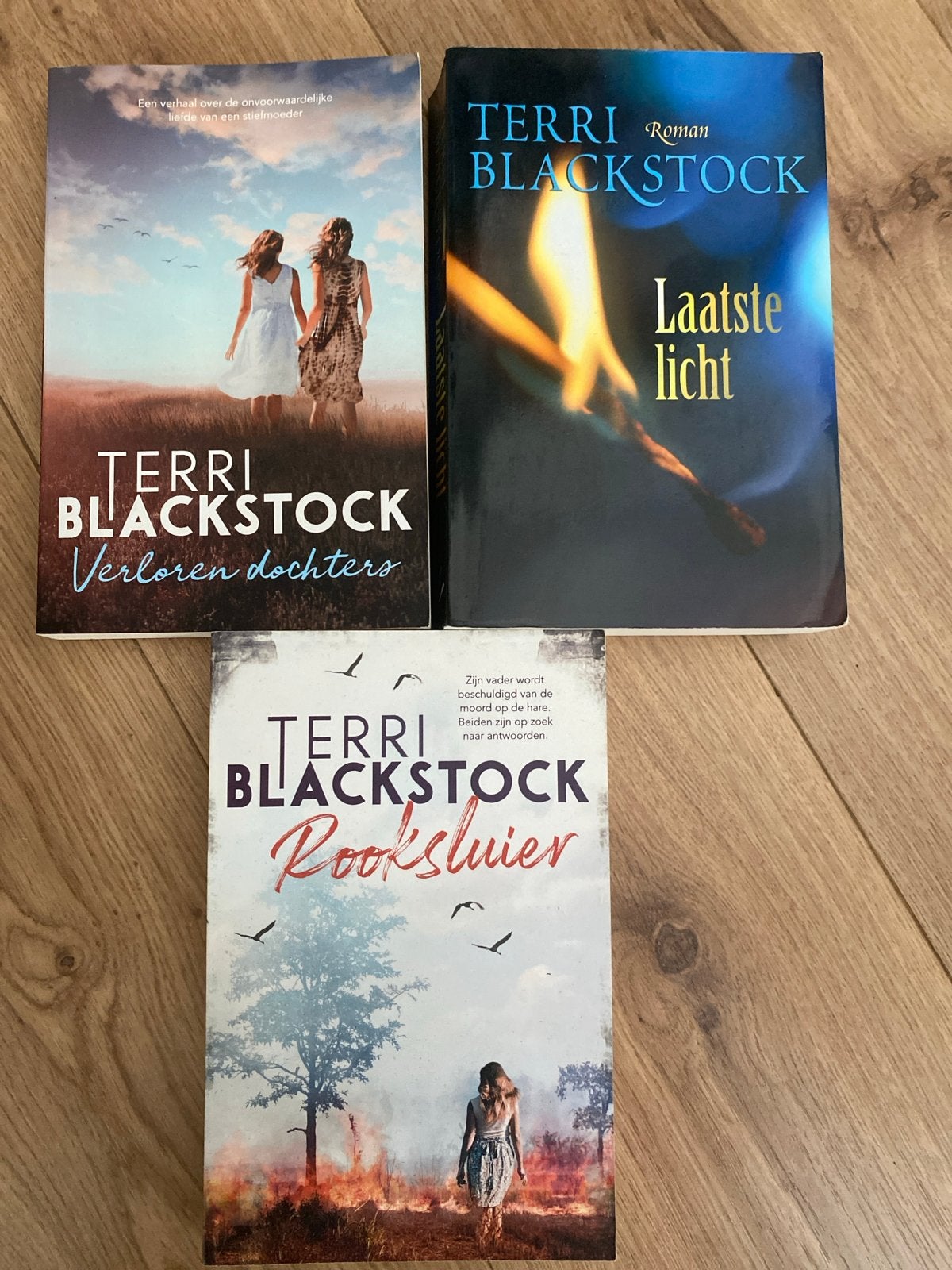 Terri Blackstock Boeken: Verloren dochters, Laatste licht, R, Ophalen of Verzenden, Gelezen, Nederland