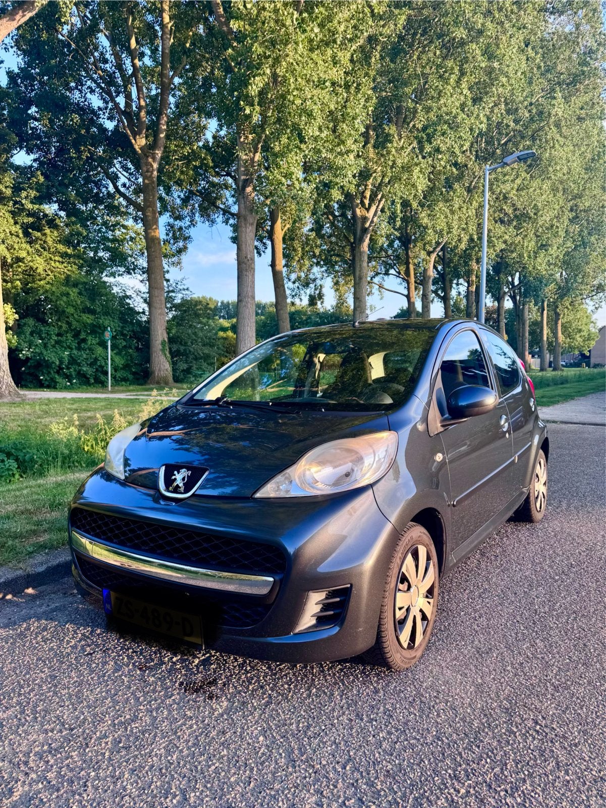 Peugeot 2009 Grijs, Auto's, Peugeot, Particulier, ABS, Airbags, Airconditioning, Centrale vergrendeling, Metallic lak, Mistlampen