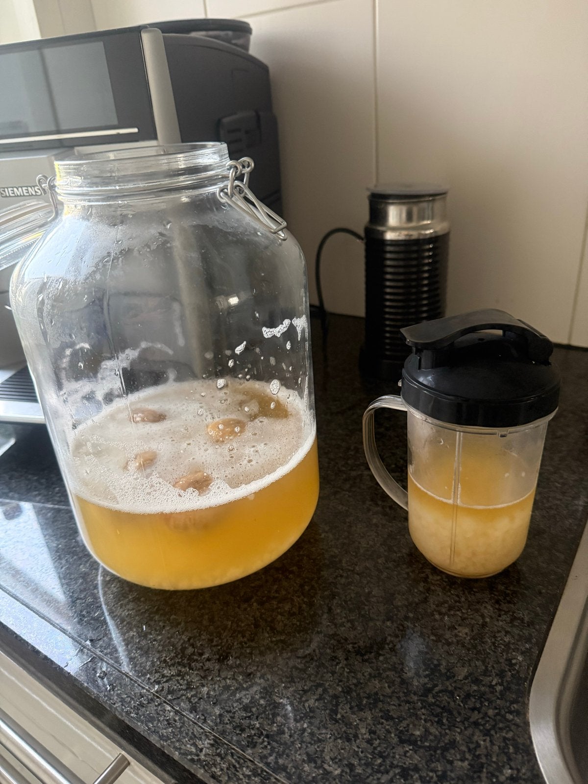 Kefir korrels gratis, Diversen, Levensmiddelen, Ophalen