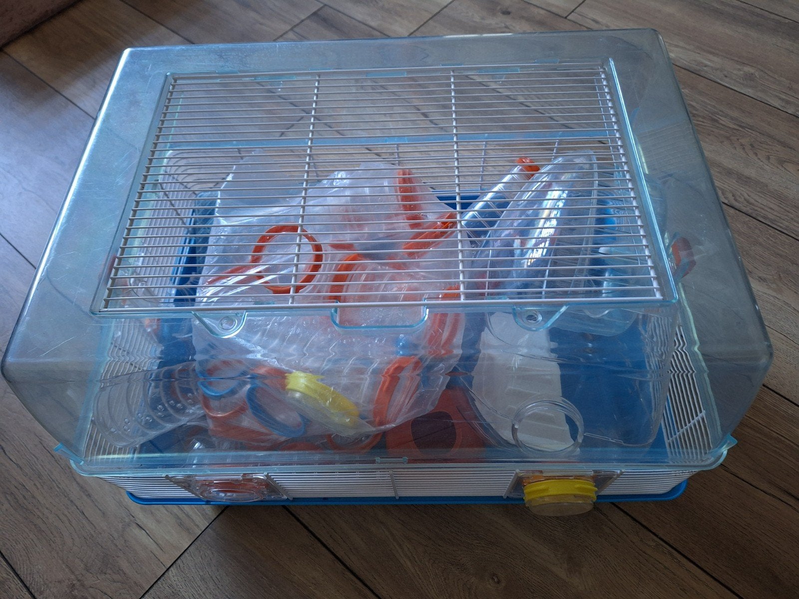 hamster / muizenkooi., September, Meerdere dieren, Hamster