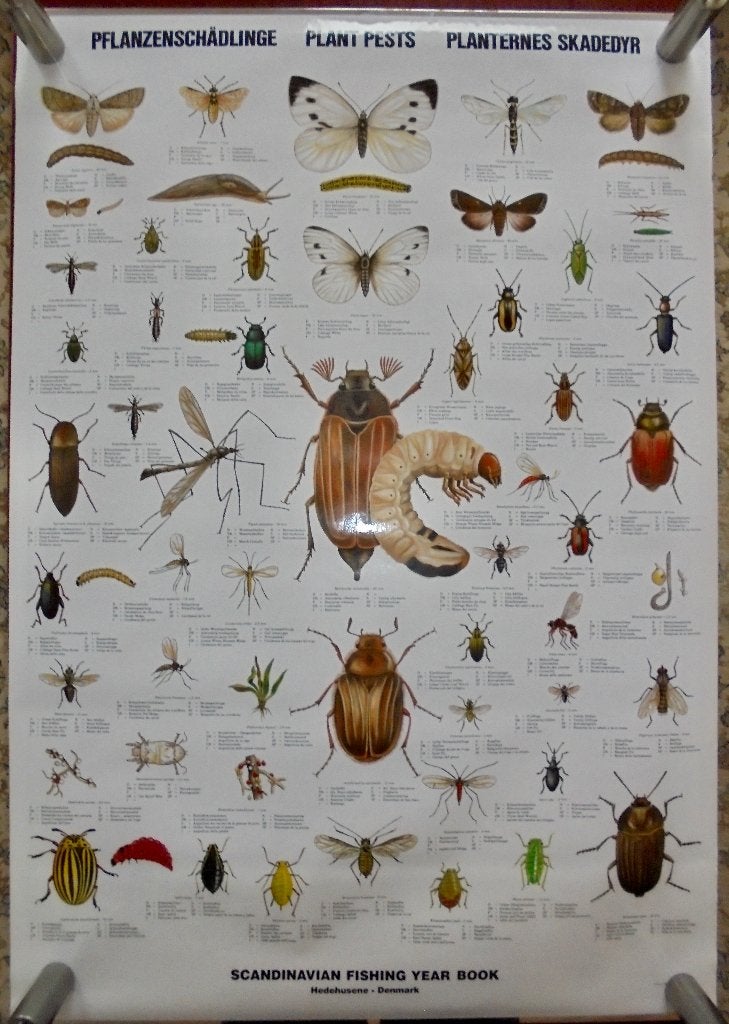 Plant Pests (PlantenPlagen) Poster Scandinavian Year Book., Antiek en Kunst, Ophalen of Verzenden, Natuur en Biologie