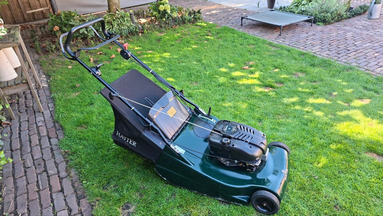Hayter harrier 56cm walsmaaier., Ophalen, Cirkelmaaier, Benzine-grasmaaier, 50 cm of meer