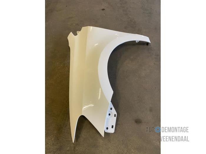 Scherm links-voor van een Volkswagen Polo (LB9A), -, Volkswagen, -, Nieuw