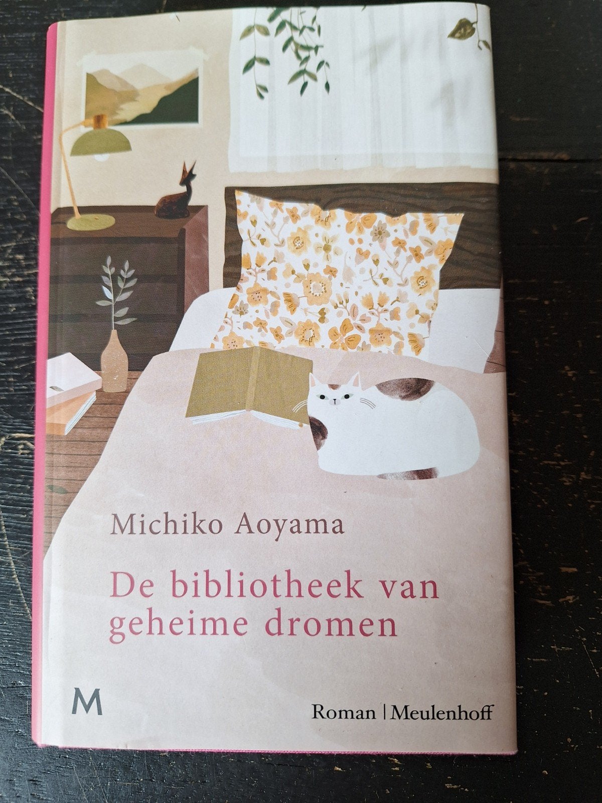 Michiko Aoyama - De bibliotheek van geheime dromen, Ophalen of Verzenden, Zo goed als nieuw, Michiko Aoyama