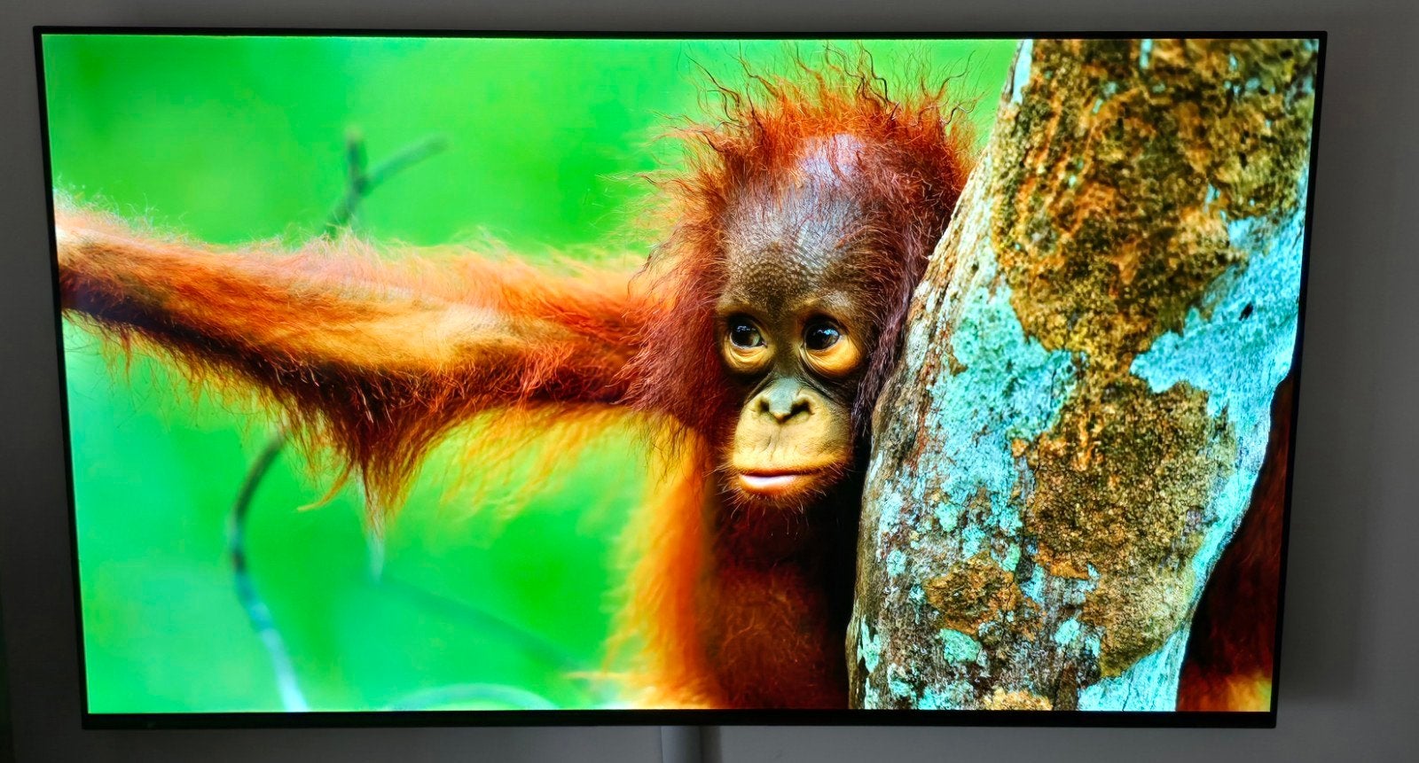 Sony KD-65AG9 65 inch 4K OLED-TV, Audio, Tv en Foto, Televisies, Ophalen, Zo goed als nieuw, 100 Hz, Sony