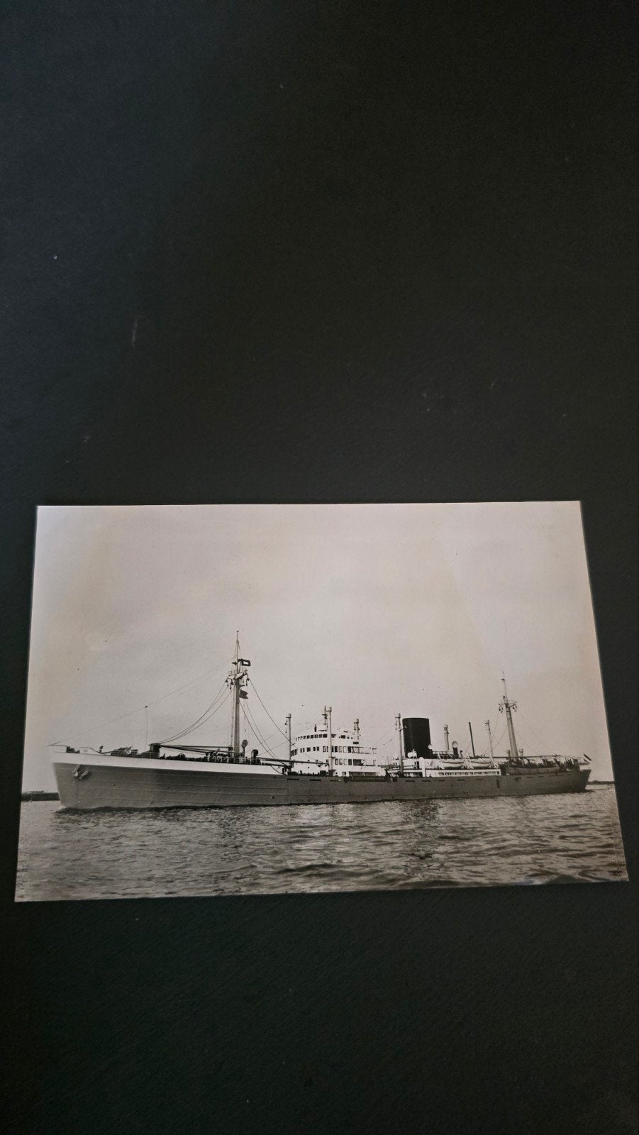 Originele foto m.s. Japara - Koninklijke Rotterdamsche Lloyd, Verzamelen, Scheepvaart, Ophalen of Verzenden