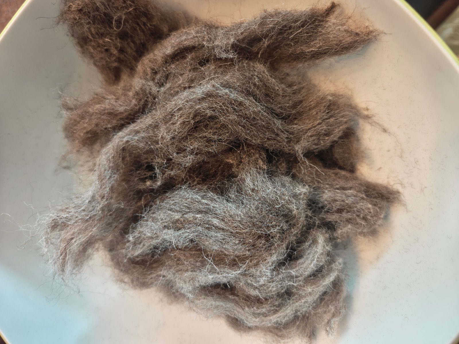 650g Schapenwol met Alpaca, bruingrijs, Verzenden, Nieuw, Breien of Haken, Wol of Garen