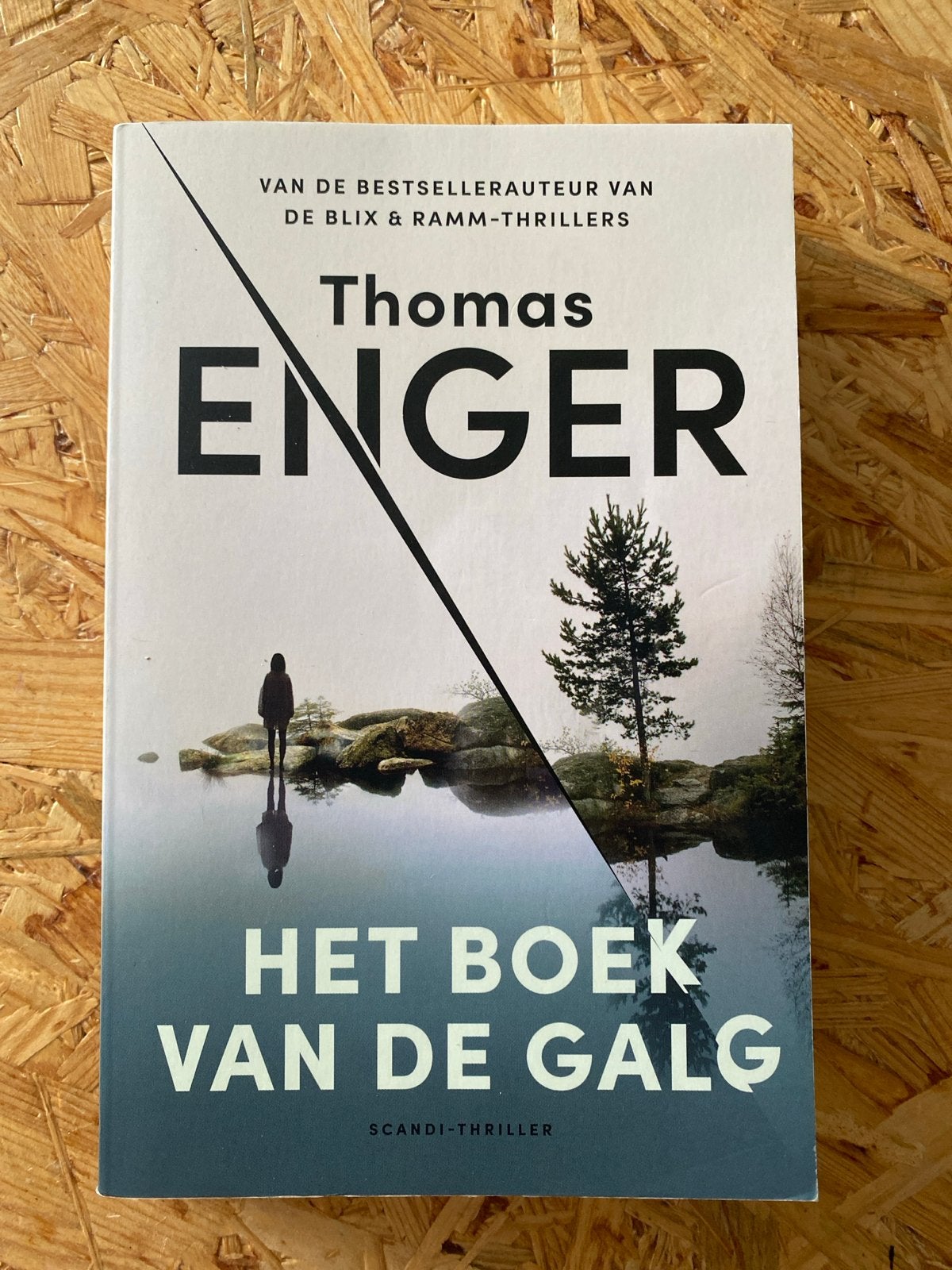 Het Boek van de Galg - Thomas Enger (Scandi-thriller), Ophalen of Verzenden, Gelezen, Scandinavië
