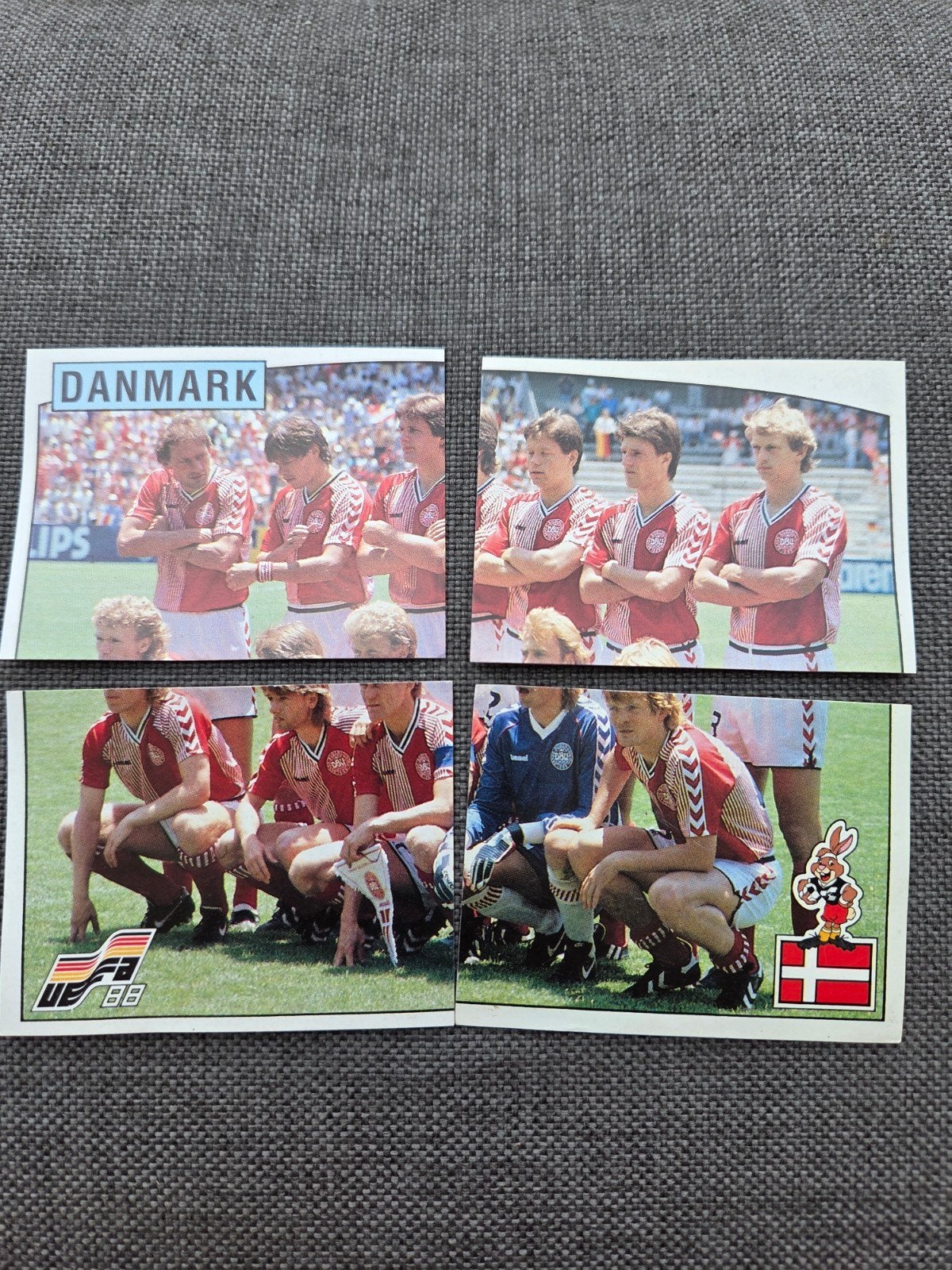 Panini EK 88 Denemarken, Ophalen of Verzenden, Zo goed als nieuw, Sticker