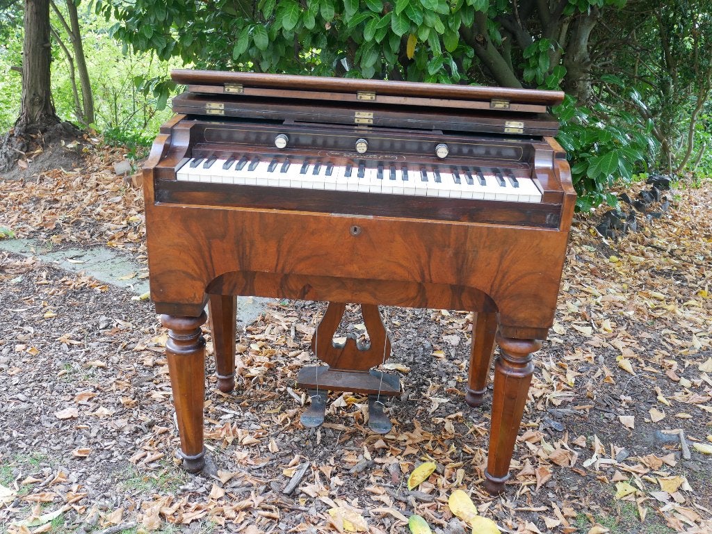harmonium, Muziek en Instrumenten, Ophalen of Verzenden, Gebruikt, 1 klavier, Harmonium