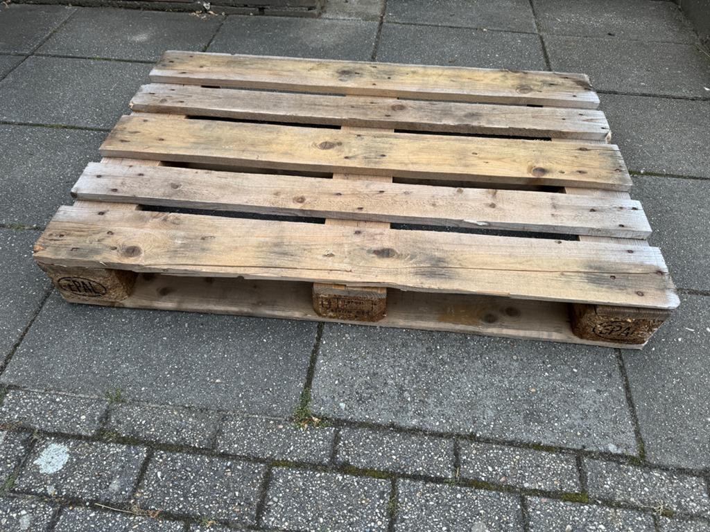Epal pallet gratis ophalen., Ophalen, Gebruikt, 50 mm of meer, Minder dan 200 cm