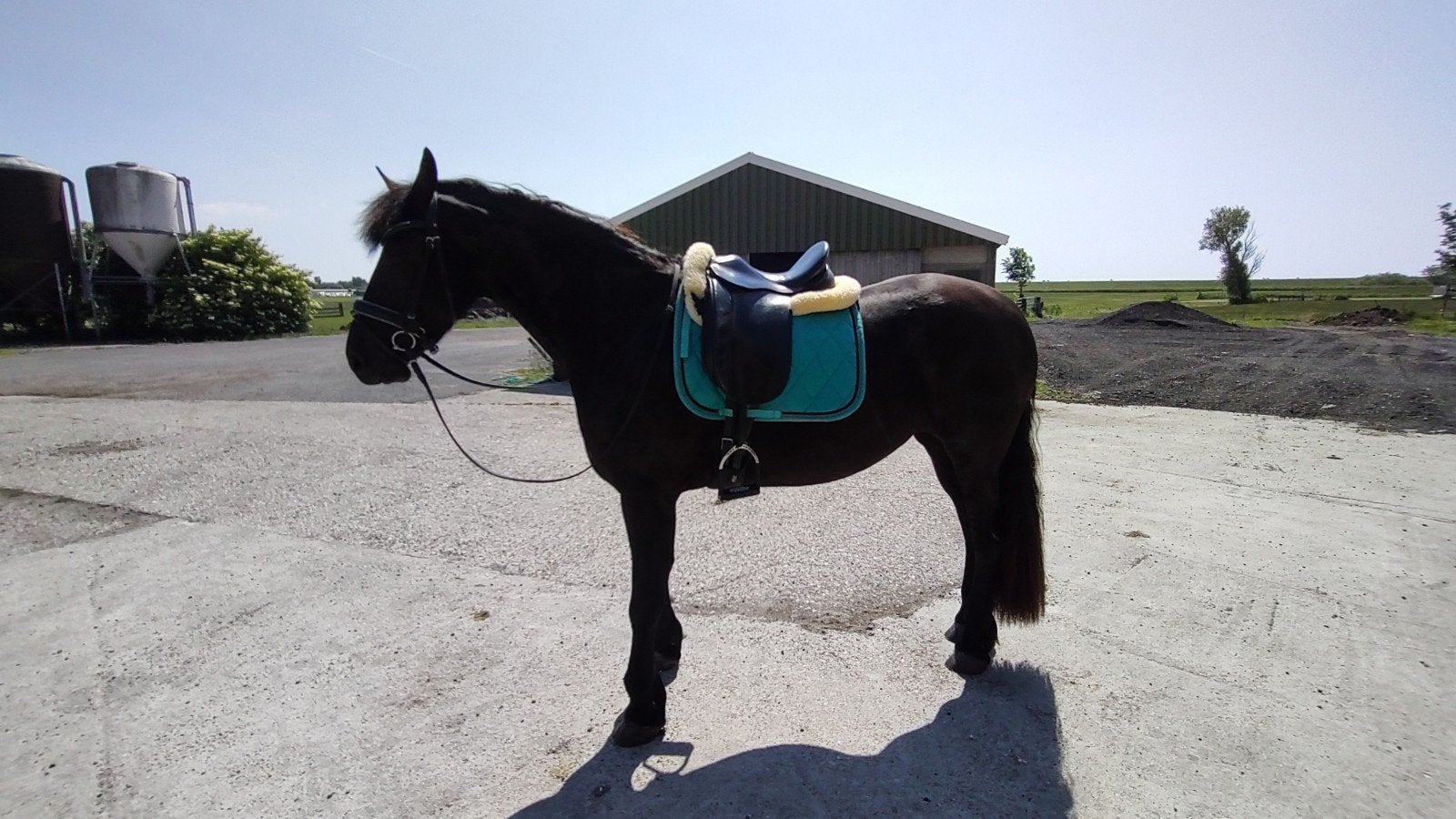 Gave set kleur ocean / aqua full dressuur, Dieren en Toebehoren, Paarden en Pony's | Overige Paardenspullen, Zo goed als nieuw